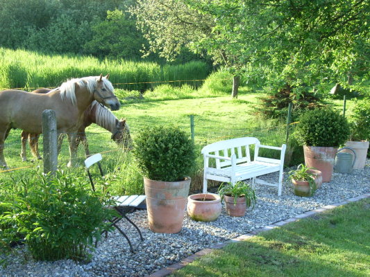 Ferienhaus Nusse - gemütlicher Garten mit Pferden